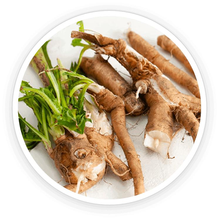 Chicory Root Inulin